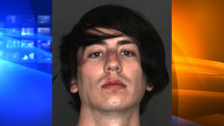 Nicholas Rangel, 25, of Chino Hills, pictured in a photo released by the Chino Hills Police Department following his arrest on March 22, 2019.