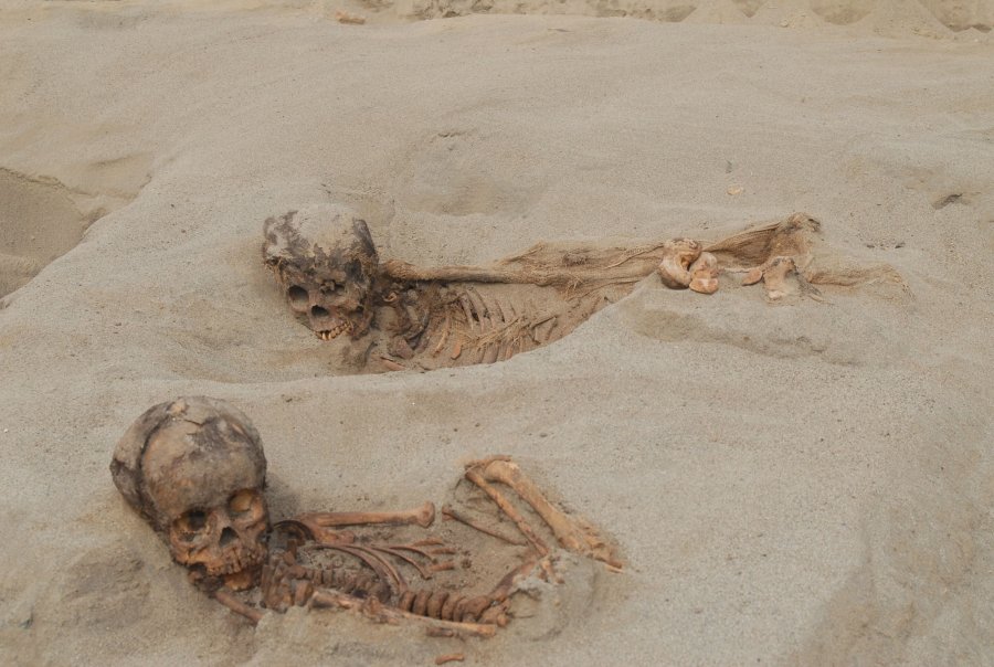 Children's remains are seen in an ancient mass sacrifice site in Peru. Researchers announced the discovery of the skeletons in April 2018. (Credit: John Verano/Tulane University via CNN)