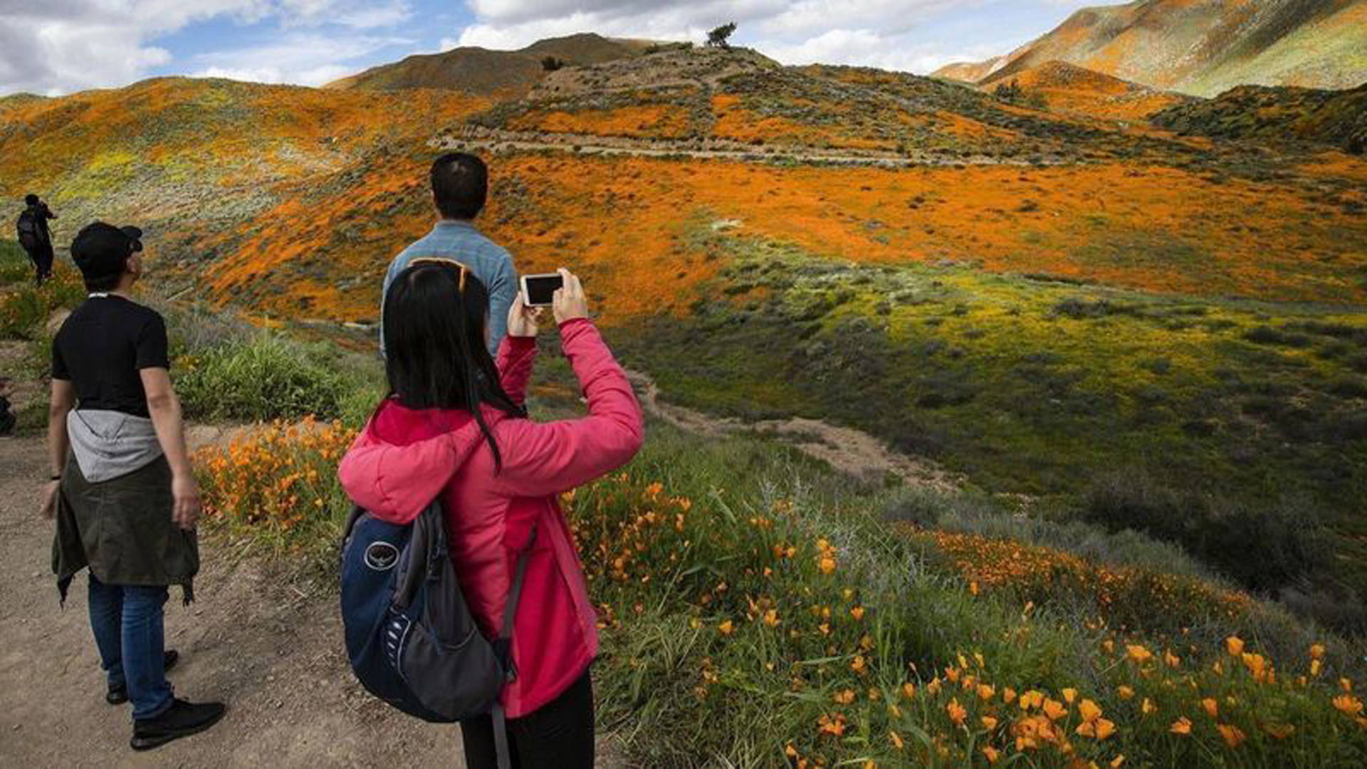 Visitors take photos of the super bloom of poppies in Lake Elsinore's Walker Canyon. (Credit: Gina Ferazzi / Los Angeles Times)