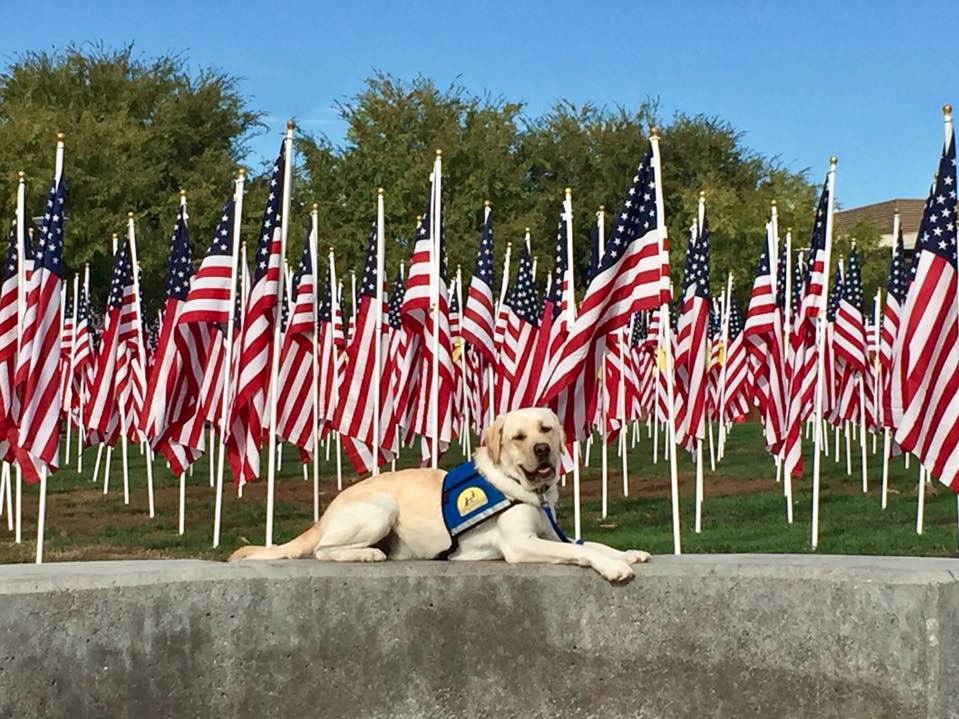 Raider, a K-9 with the Corona Police Department, is seen in an image posted to his Facebook page on Nov. 19, 2017.