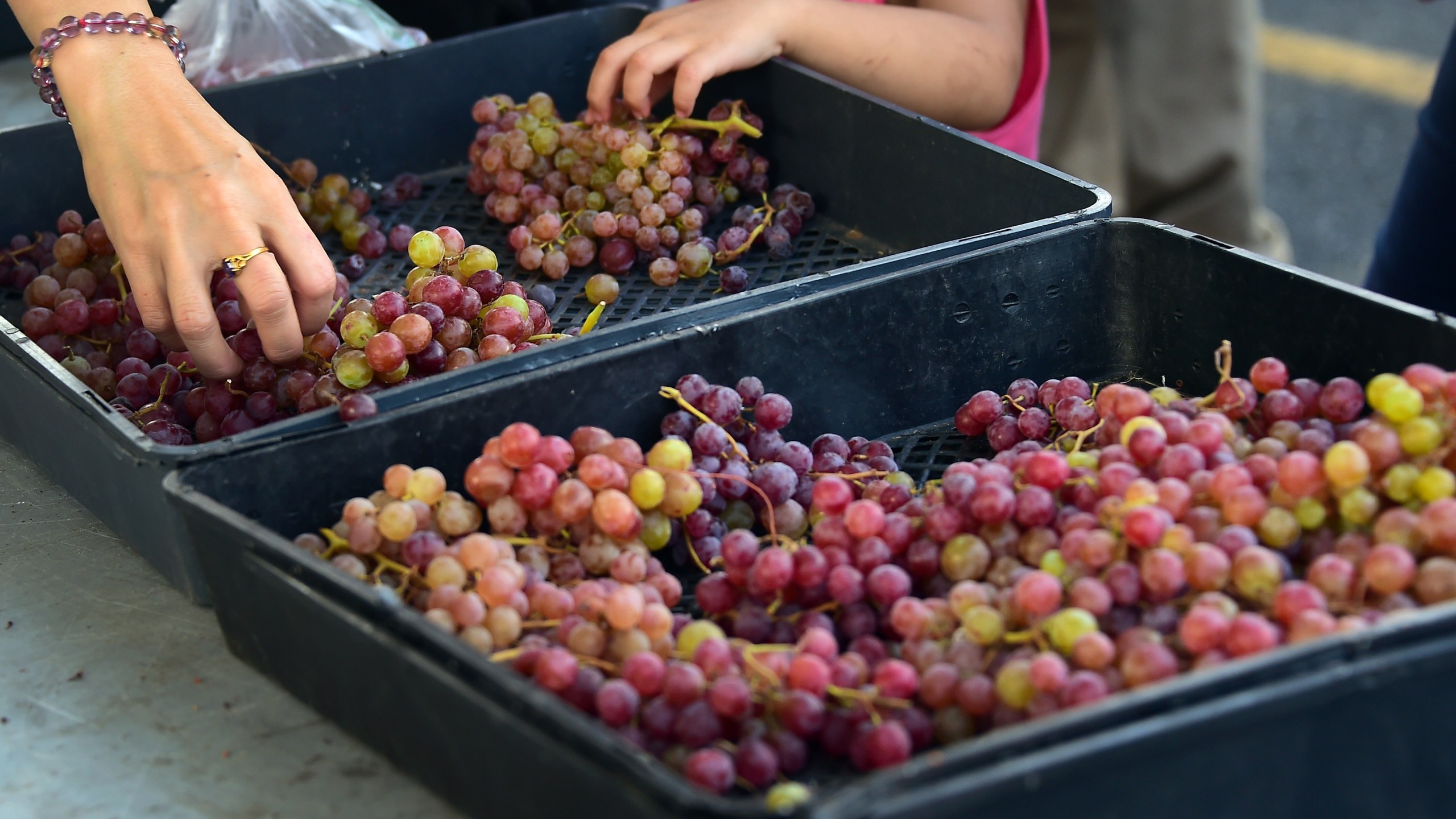 A mother and her daughter shop for grapes in Monterey Park on July 25, 2014. (Credit: FREDERIC J. BROWN/AFP/Getty Images)