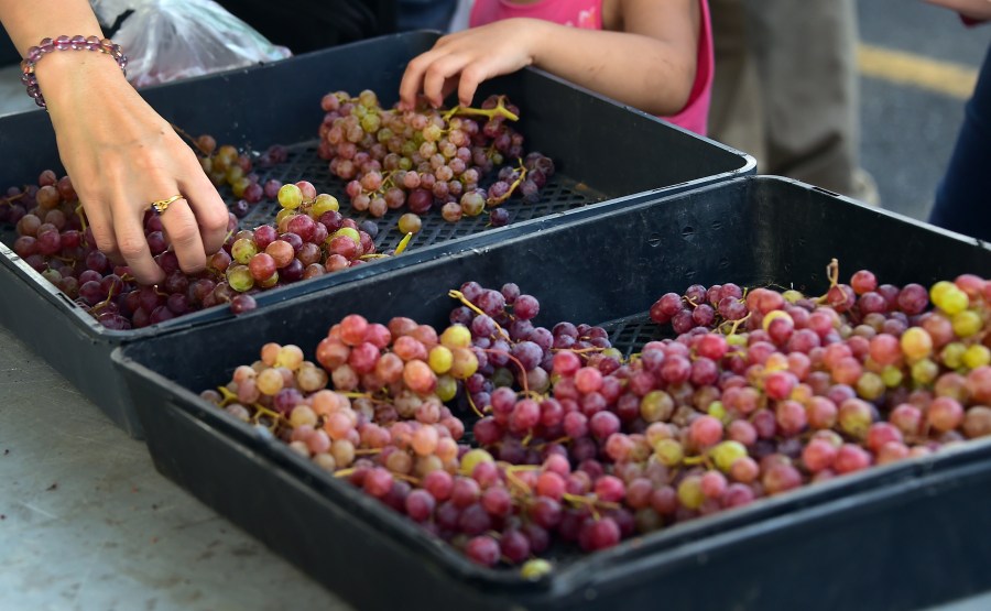 A mother and her daughter shop for grapes in Monterey Park on July 25, 2014. (Credit: FREDERIC J. BROWN/AFP/Getty Images)