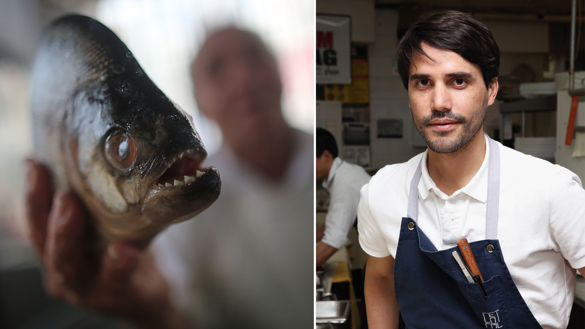 A worker displays a piranha for sale in on Nov. 20, 2013, in Manaus, Brazil. (Credit: Mario Tama/Getty Images) and Chef Virgilio Martinez seen during a dinner event at Warwick New York Hotel on Oct. 17, 2015, in New York City. (Credit: Robin Marchant/Getty Images for NYCWFF)