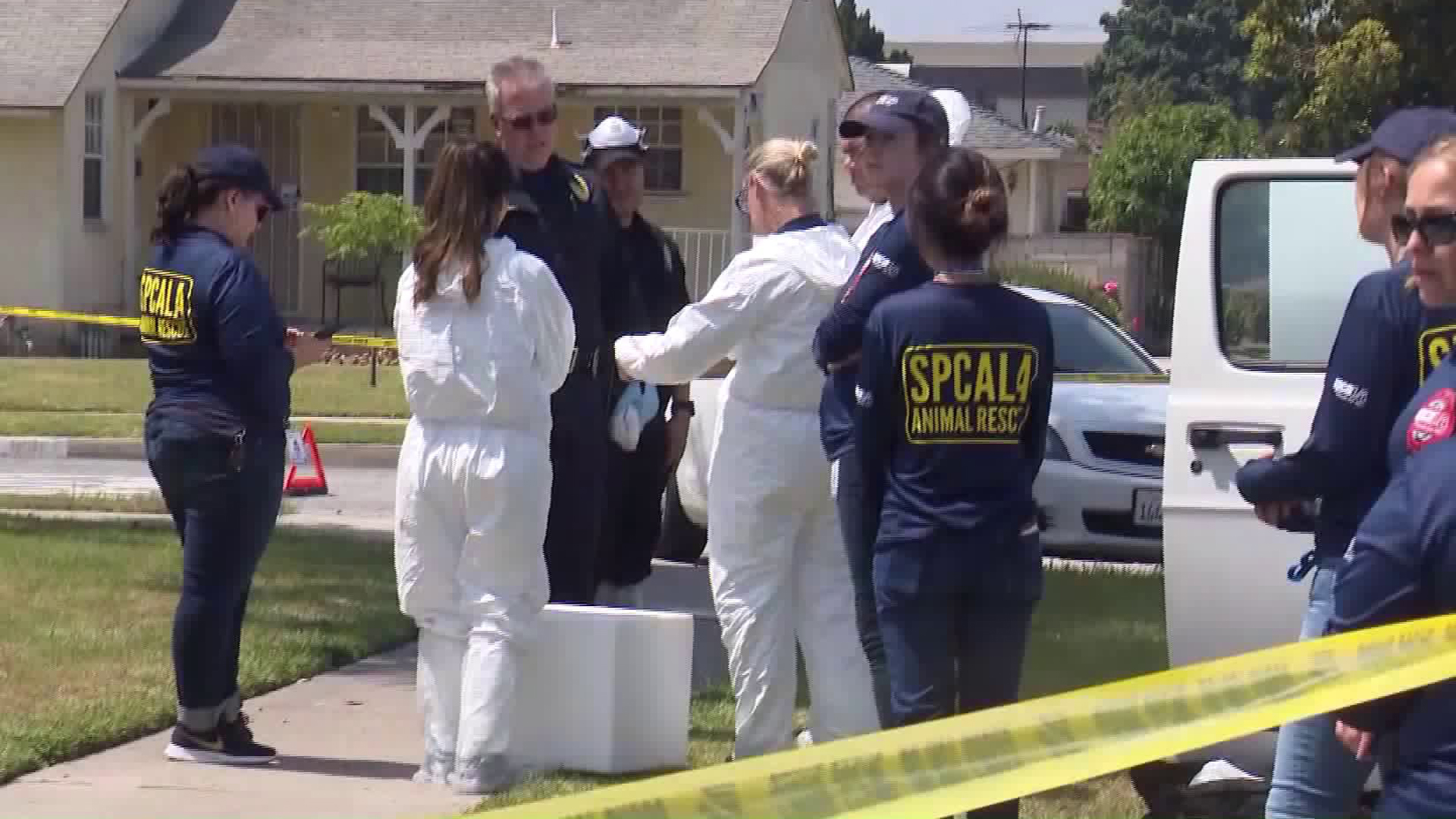 A team of investigators and animal rescue personnel responded to a residence in Downey on June 6, 2019. (KTLA)