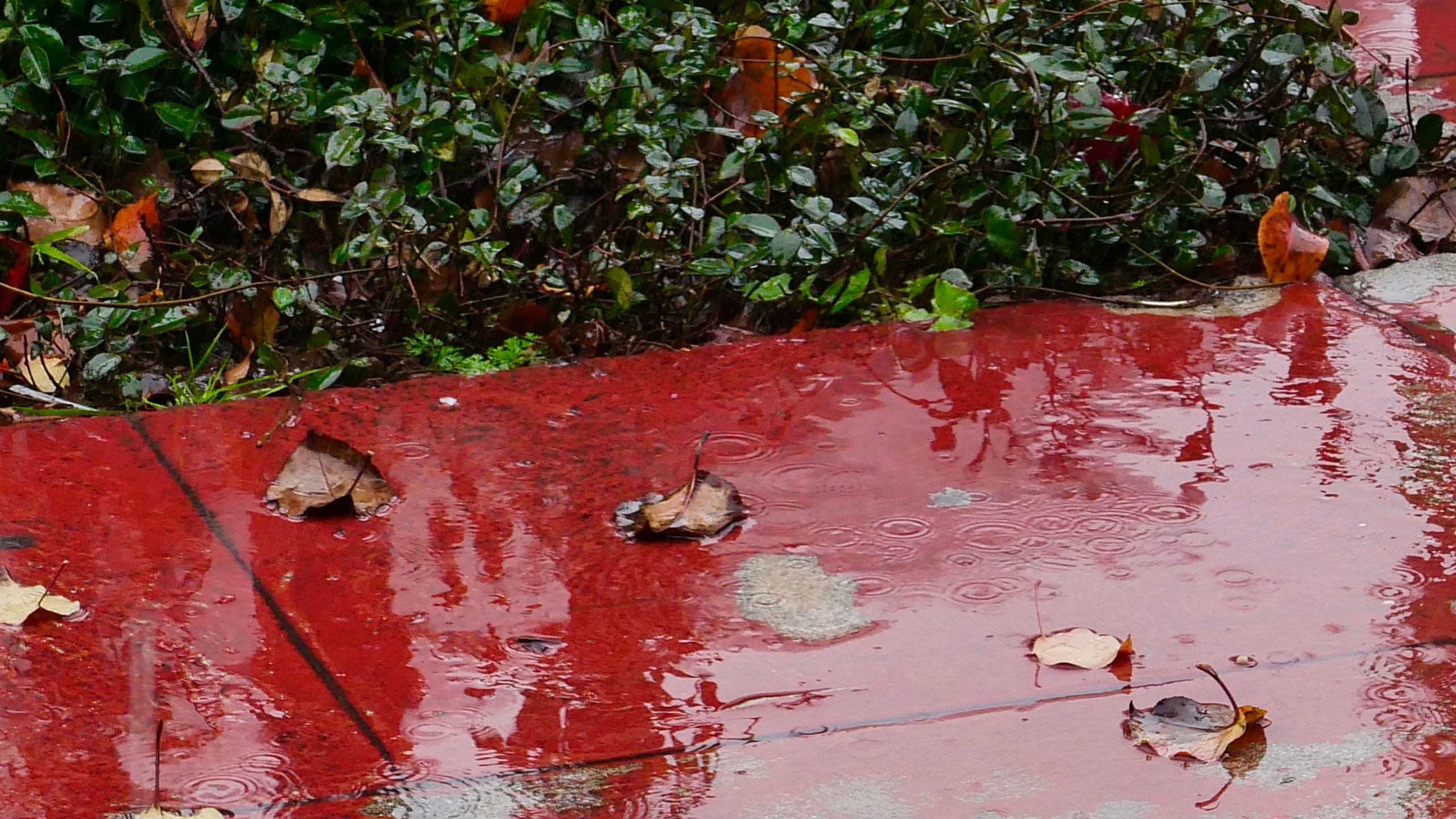 A wet sidewalk is seen in a file photo. (Credit: Getty Images)