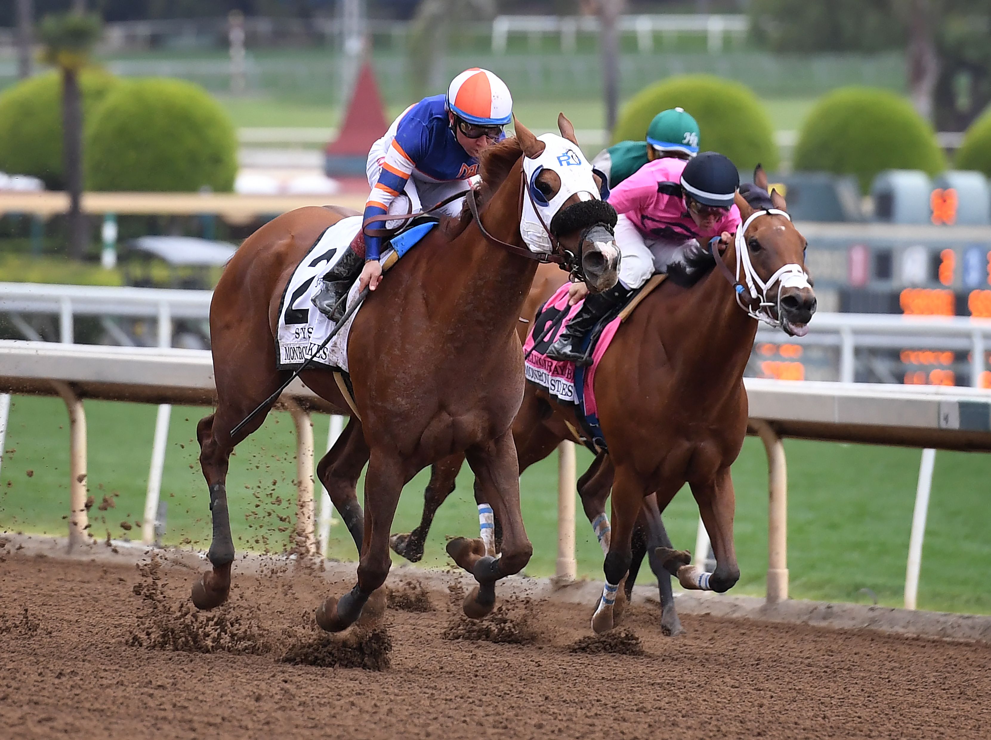 Horses race at the Santa Anita Park in Arcadia on May 26, 2019, as controversy continues over the high number of horse deaths at the track. (Credit: Mark Ralston / AFP / Getty Images)