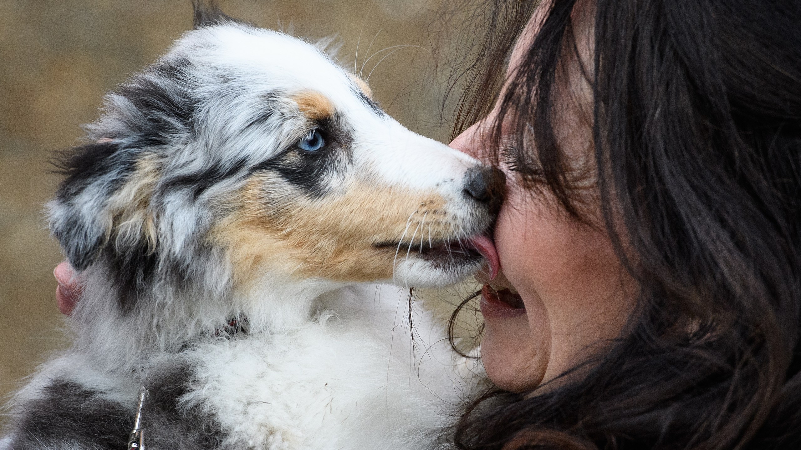 A woman hugs her Shetland Sheepdog as she arrives for the Crufts dog show at the NEC Arena on March 8, 2018 in Birmingham, England. (Credit: Leon Neal/Getty Images)