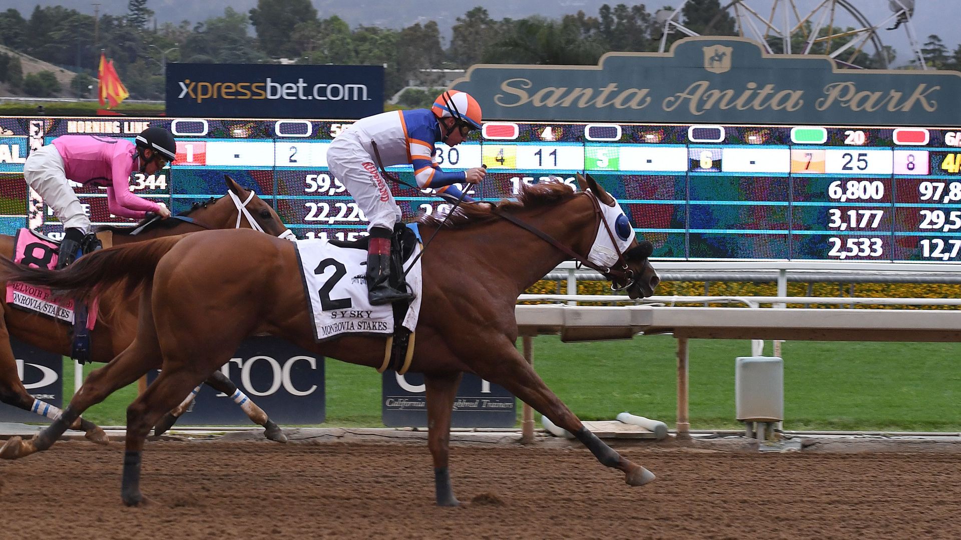 Horses race at the Santa Anita Racetrack as controversy continues over the high number of horse deaths at the track in Arcadia on May 26, 2019. (Credit: MARK RALSTON/AFP/Getty Images)