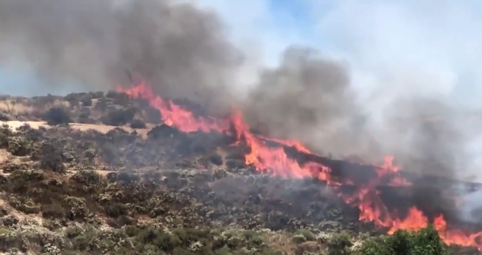 A fire burns in Santa Clarita near Master's College on June 12, 2019. (Credit: @HansGutknecht/ Twitter)