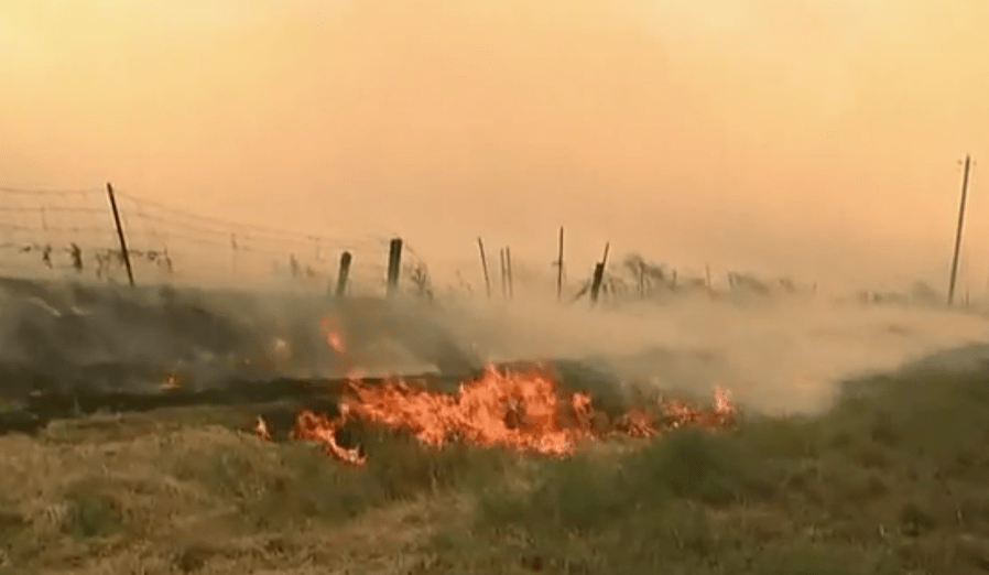 A fire erupted near the community of Guinda in Yolo County on June 8, 2019. (Credit: KTXL)