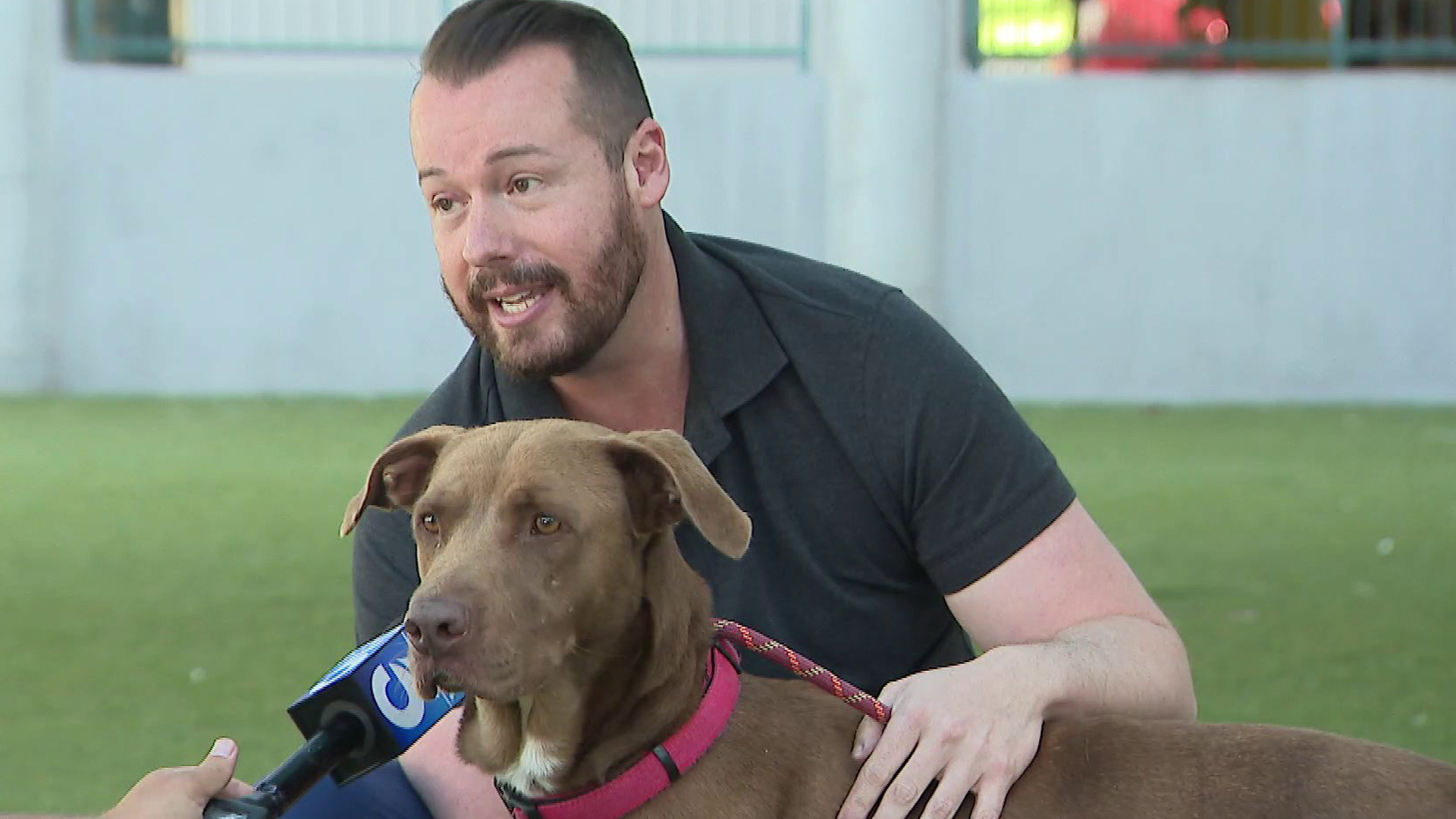 The Pasadena Humane Society on July 2, 2019 offered tips for pet owners ahead of Independence Day celebrations. (Credit: KTLA)