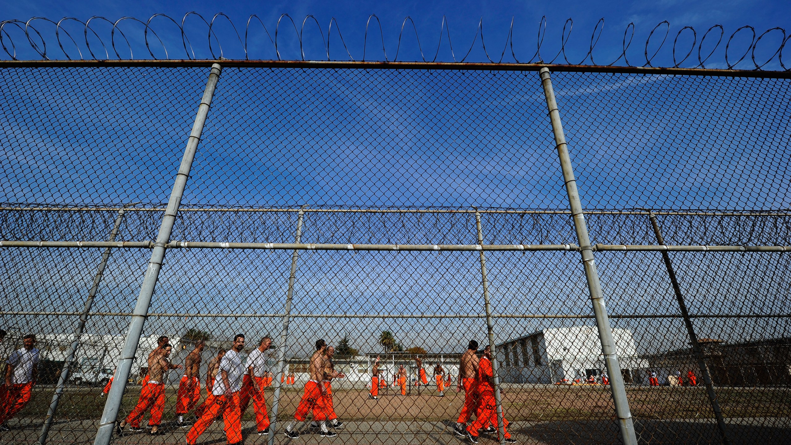 Inmates at the California Institution for Men in Chino exercise in the yard Dec. 10, 2010, in Chino, Calif. (Kevork Djansezian/Getty Images)