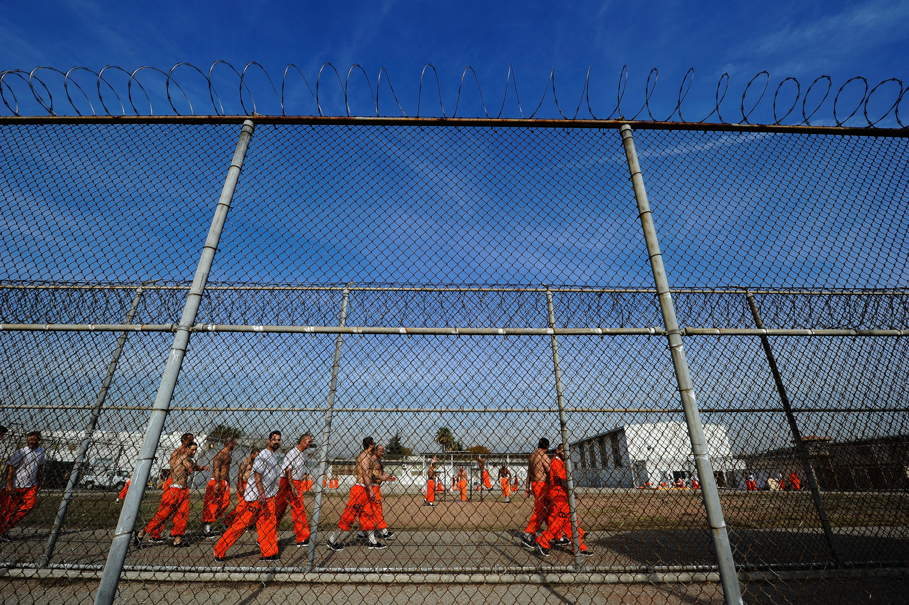 Inmates at the California Institution for Men in Chino exercise in the yard Dec. 10, 2010, in Chino, Calif. (Kevork Djansezian/Getty Images)