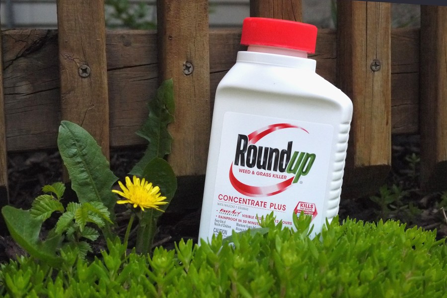 Roundup weed killer is shown in a photo illustration on May 14, 2019. (Scott Olson / Getty Images)