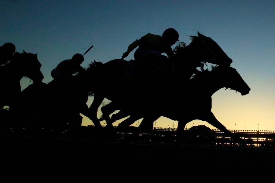 Horses race in race 9 during Sydney Racing at Royal Randwick Racecourse on May 25, 2019 in Sydney, Australia. (Credit: Mark Evans/Getty Images)