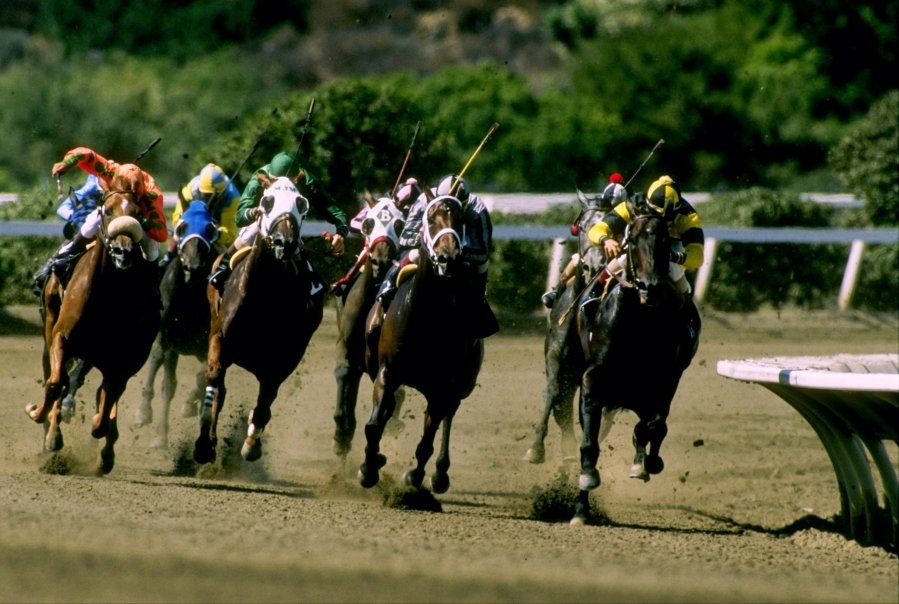 This file photo shows a horse race at Del Mar Racetrack. (Credit: Tim DeFrisco / Getty Images)