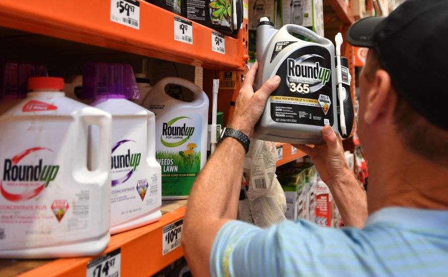 A customer shops for Roundup products at a store in San Rafael, California, on July, 9, 2018. (Credit: Josh Edelson/AFP/Getty Images)