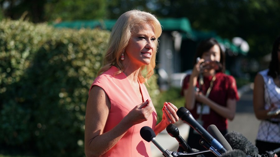 Kellyanne Conway talks to reporters outside the West Wing following a television interview with FOX News at the White House July 02, 2019 in Washington, DC. (Credit: Chip Somodevilla/Getty Images)