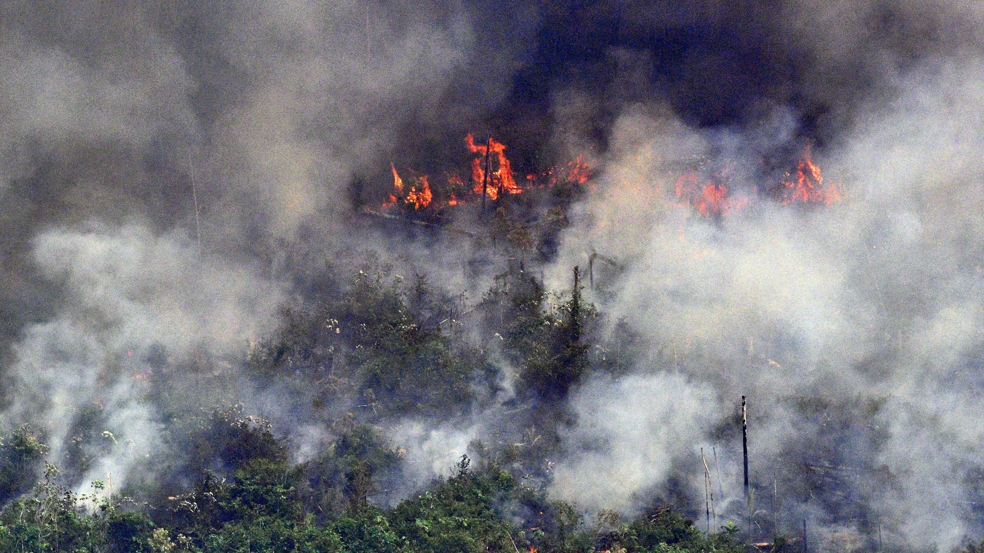 Aerial picture showing smoke from a 2-kilometre-long stretch of fire billowing from the Amazon rainforest about 65 km from Porto Velho, in the state of Rondonia, in northern Brazil, on August 23, 2019. (Credit: Carl De Souza/AFP/Getty Images)