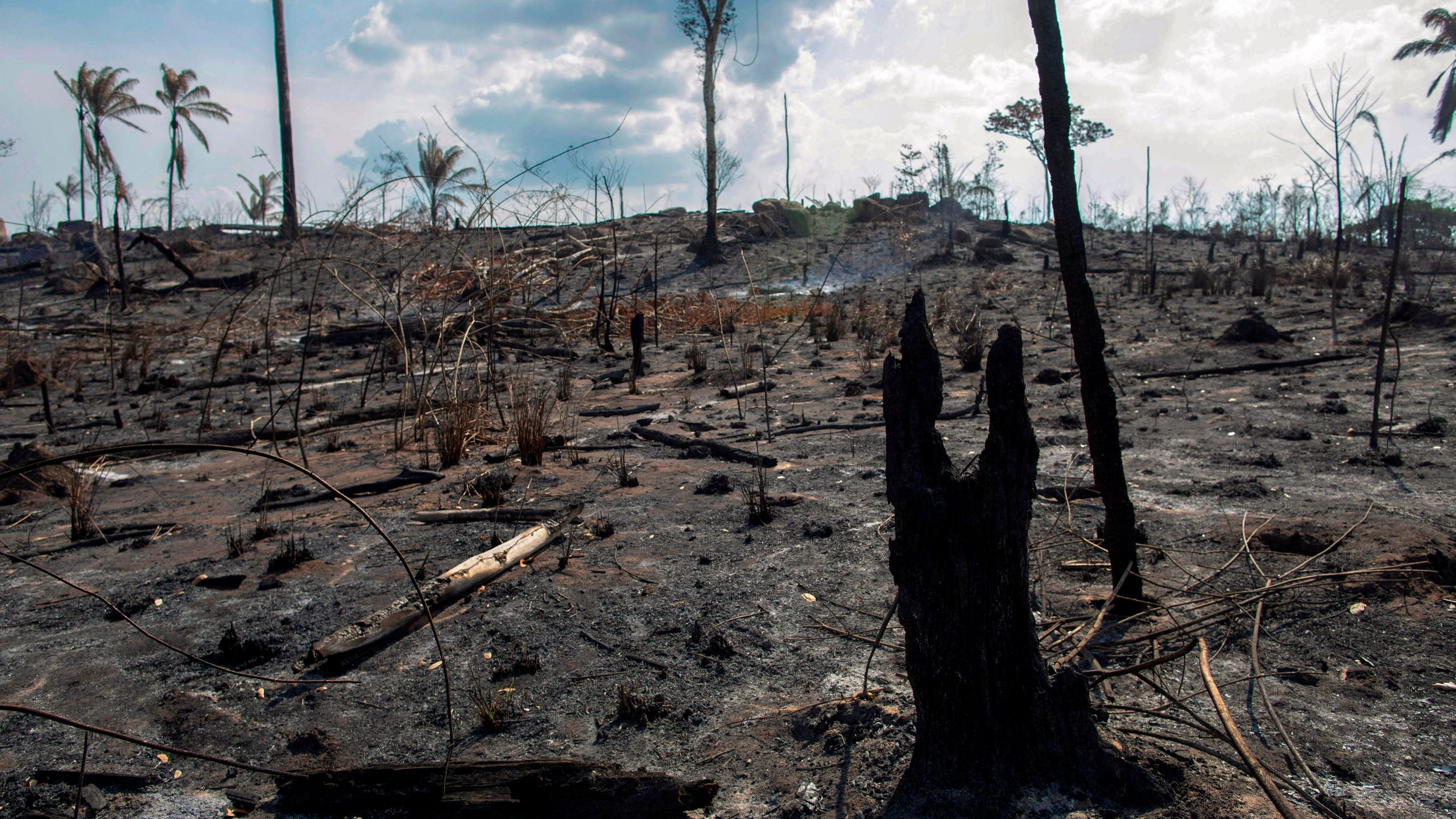 View of a burnt area after a fire in the Amazon rainforest near Novo Progresso, Para state, Brazil, on August 25, 2019. (Credit: JOAO LAET/AFP/Getty Images)