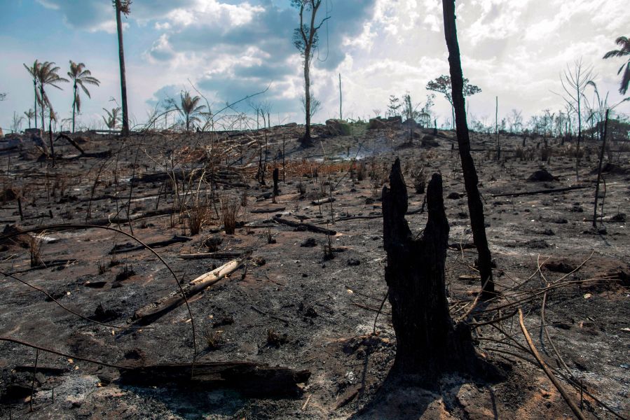 View of a burnt area after a fire in the Amazon rainforest near Novo Progresso, Para state, Brazil, on August 25, 2019. (Credit: JOAO LAET/AFP/Getty Images)