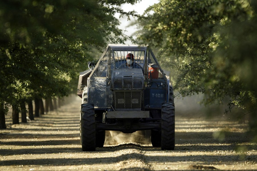 A tractor gathers rocks in a grove on August 11, 2004 near the town of Arvin, southeast of Bakersfield, California. (Credit: David McNew/Getty Images)