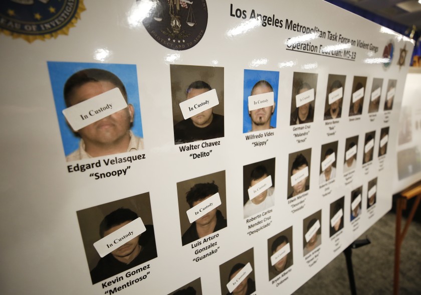 A poster shows defendants in custody as law enforcement officials announce the unsealing of a federal racketeering indictment targeting Los Angeles-based members of the MS-13 gang on July 16, 2019. (Credit: Al Seib / Los Angeles Times)