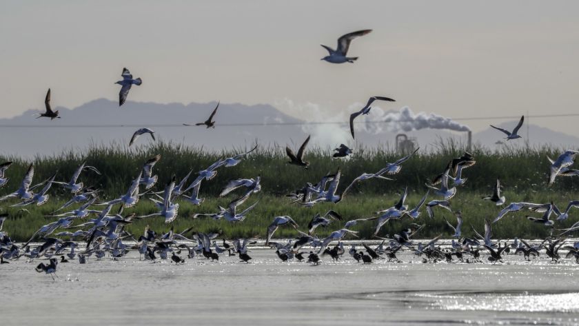 The Salton Sea, which straddles Imperial and Riverside counties, is seen in an undated photo. (Credit: Irfan Khan / Los Angeles Times )