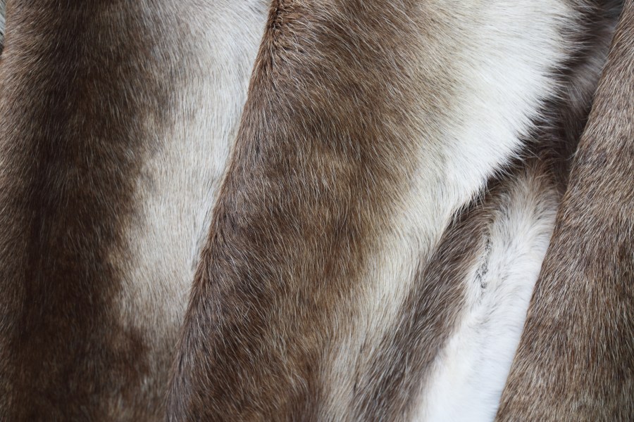 Deer pelts are seen at fair in Norway in this file photo. (Credit: Getty Images)