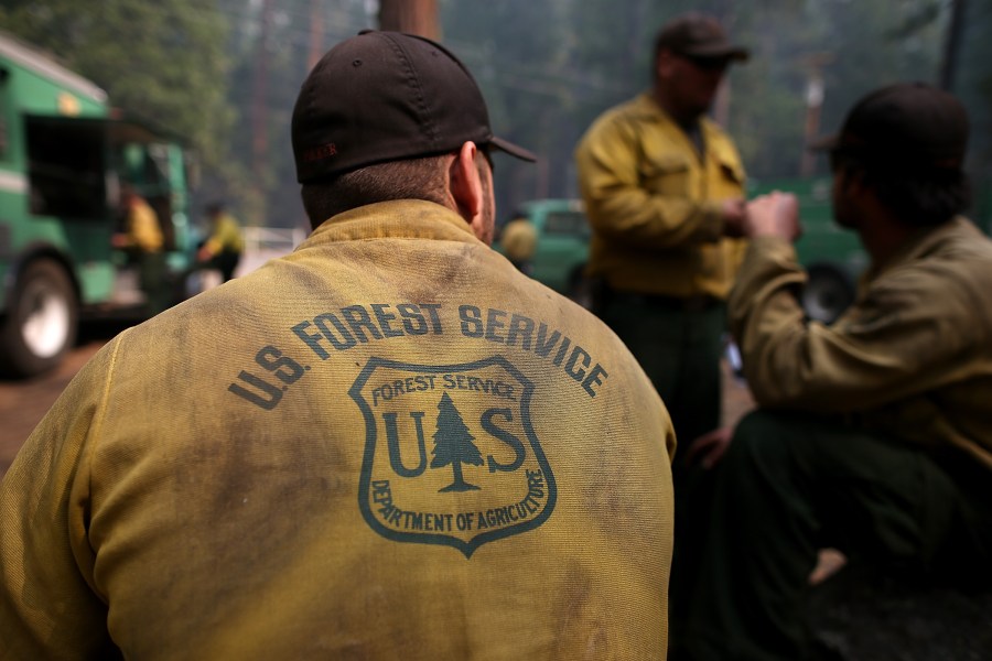 U.S. Forest Service firefighters take a break from battling the Rim Fire at Camp Mather on August 25, 2013 near Groveland, California. (Credit: Justin Sullivan/Getty Images)