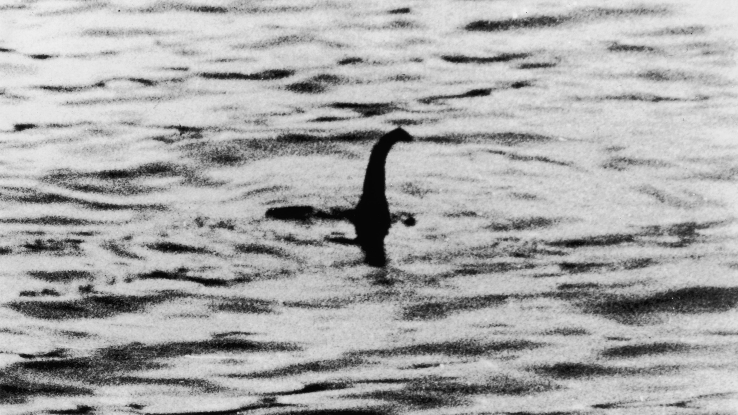 A view of the Loch Ness Monster, near Inverness, Scotland, April 19, 1934. The photograph was allegedly taken by Colonel Robert Kenneth Wilson, though it was later exposed as a hoax by one of the participants. (Credit: Keystone/Getty Images)