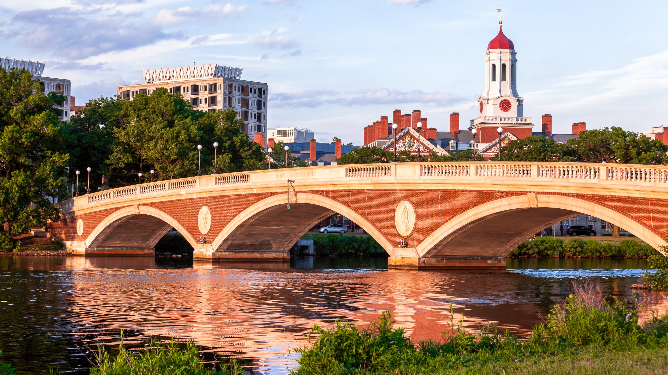 The Harvard University campus is seen in this undated photo. (Credit: Getty Images)