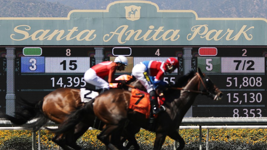 Race horses run on the final day of the winter/spring horse racing season at Santa Anita Park on June 23, 2019 in Arcadia, California. (Mario Tama/Getty Images)