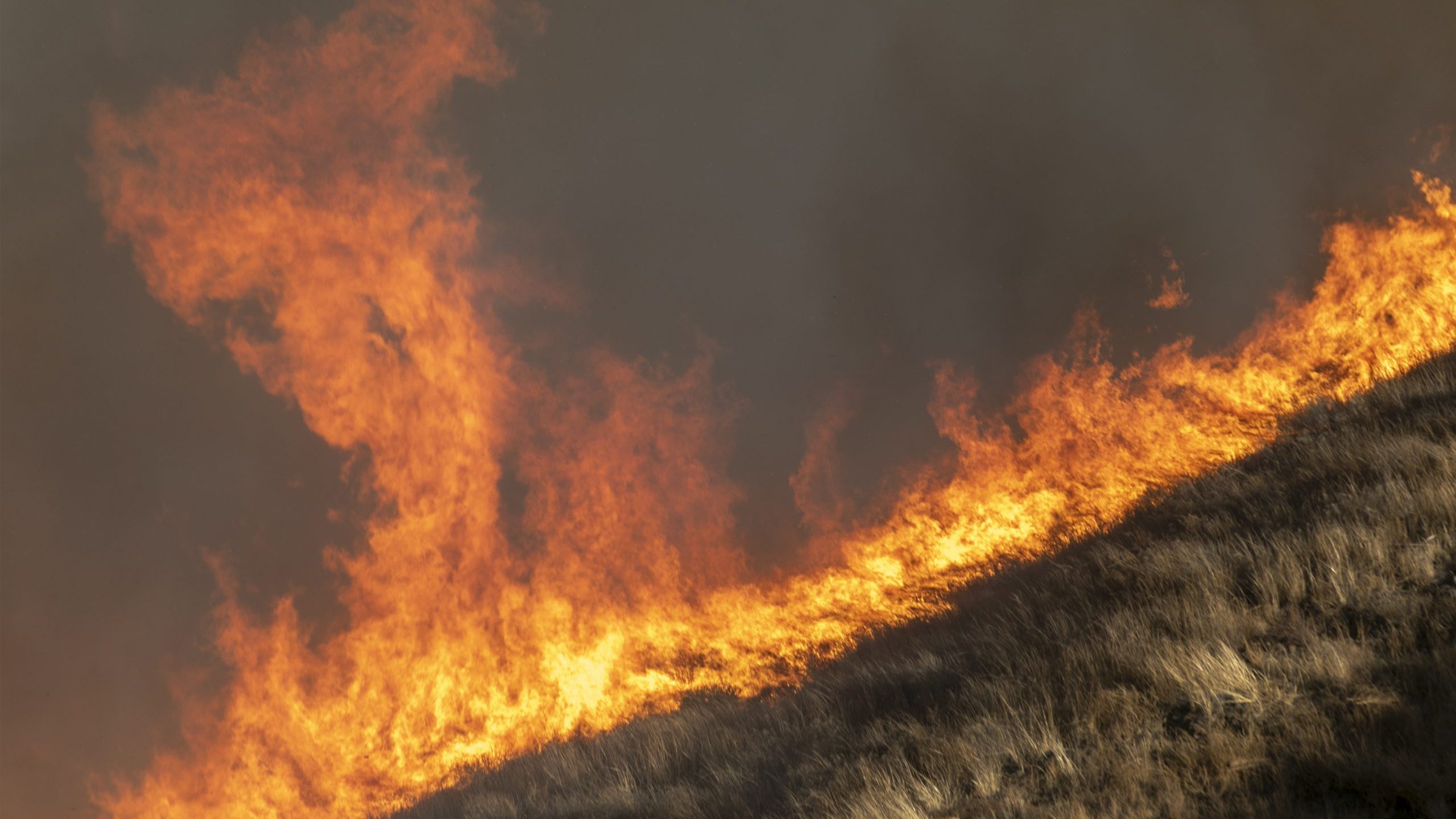 Strong winds drive the Easy Fire on October 30, 2019 near Simi Valley (Credit: by David McNew/Getty Images)