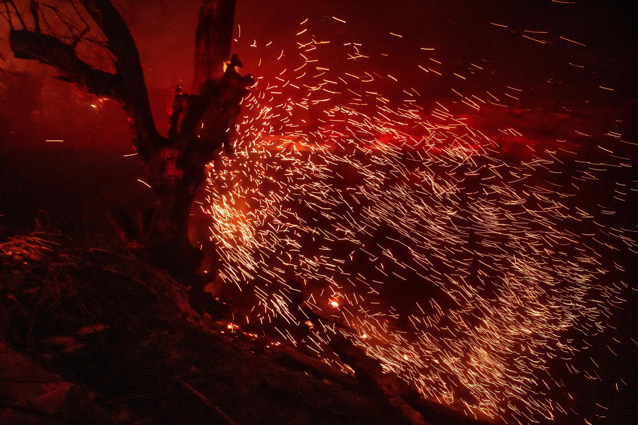 Embers fly off a tree during the Hillside Fire in the North Park neighborhood of San Bernardino on October 31, 2019. (Credit: EDELSON/AFP via Getty Images)