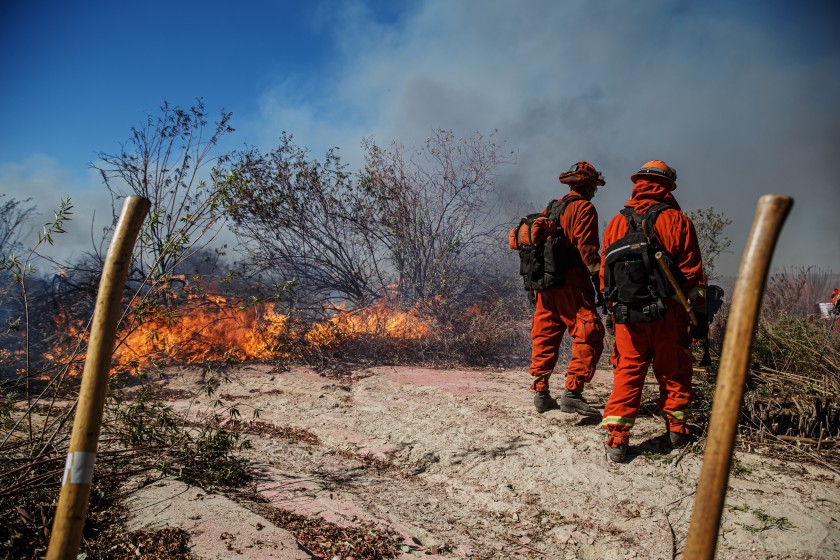 Inmate firefighters battle the Maria Fire on the Santa Clara River bed in Santa Paula on Nov. 1, 2019. (Credit: Marcus Yam / Los Angeles Times)