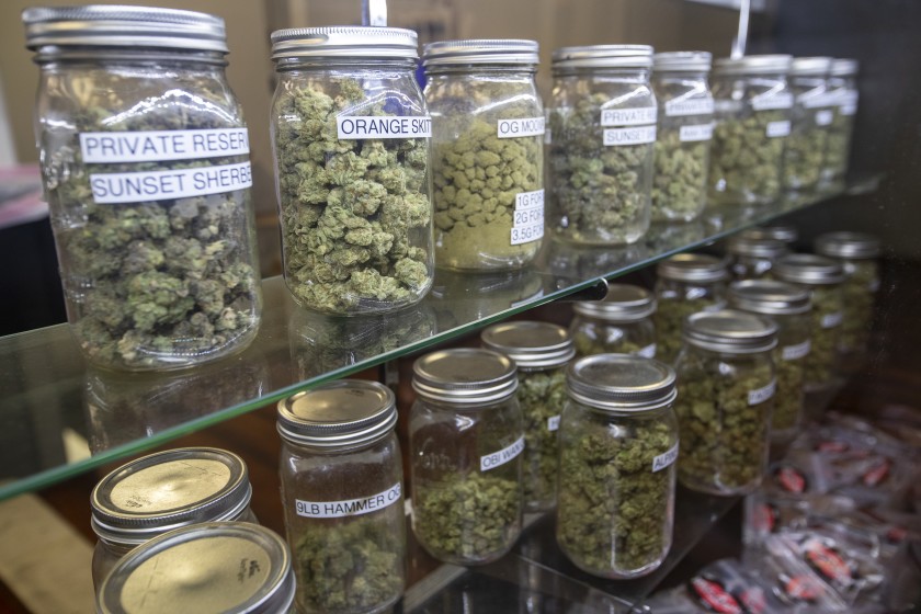 Marijuana found in an illegal marijuana dispensary raided by the LAPD in Wilmington in May, 2019.(Credit: Allen J. Schaben / Los Angeles Times)