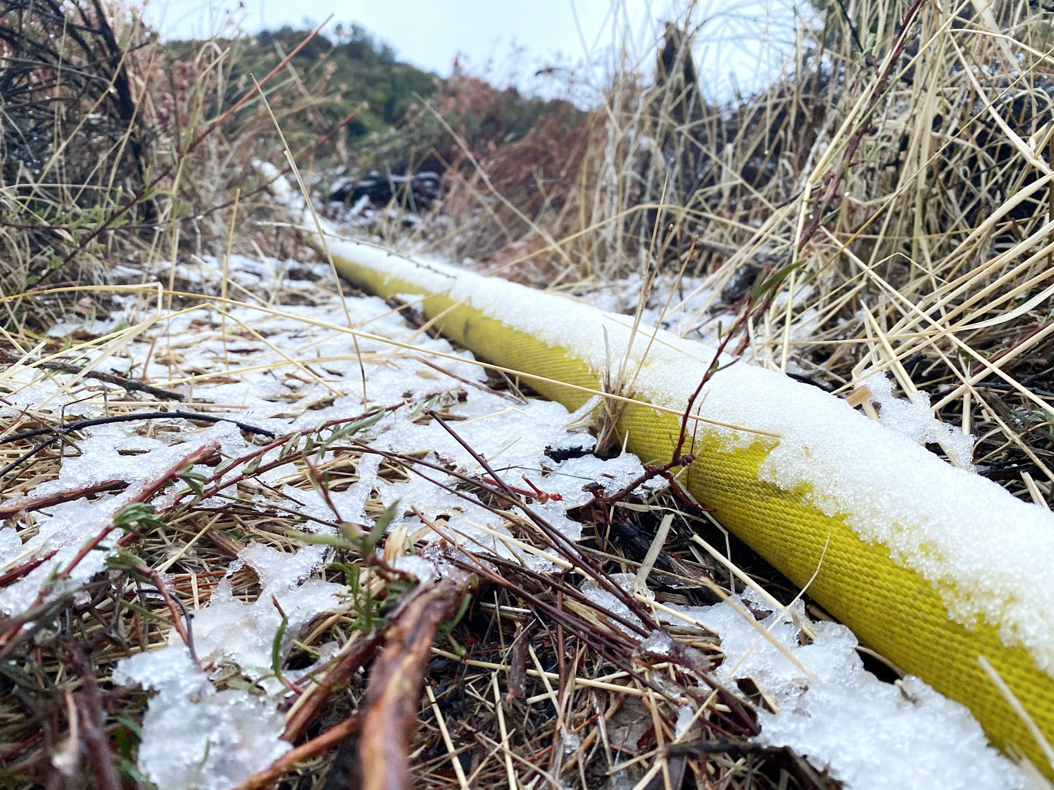 Snow covers a fire hose on East Camino Cielo near Santa Barbara on Nov. 28, 2019. (Credit: Eliason Mike/Santa Barbara County Fire Department)