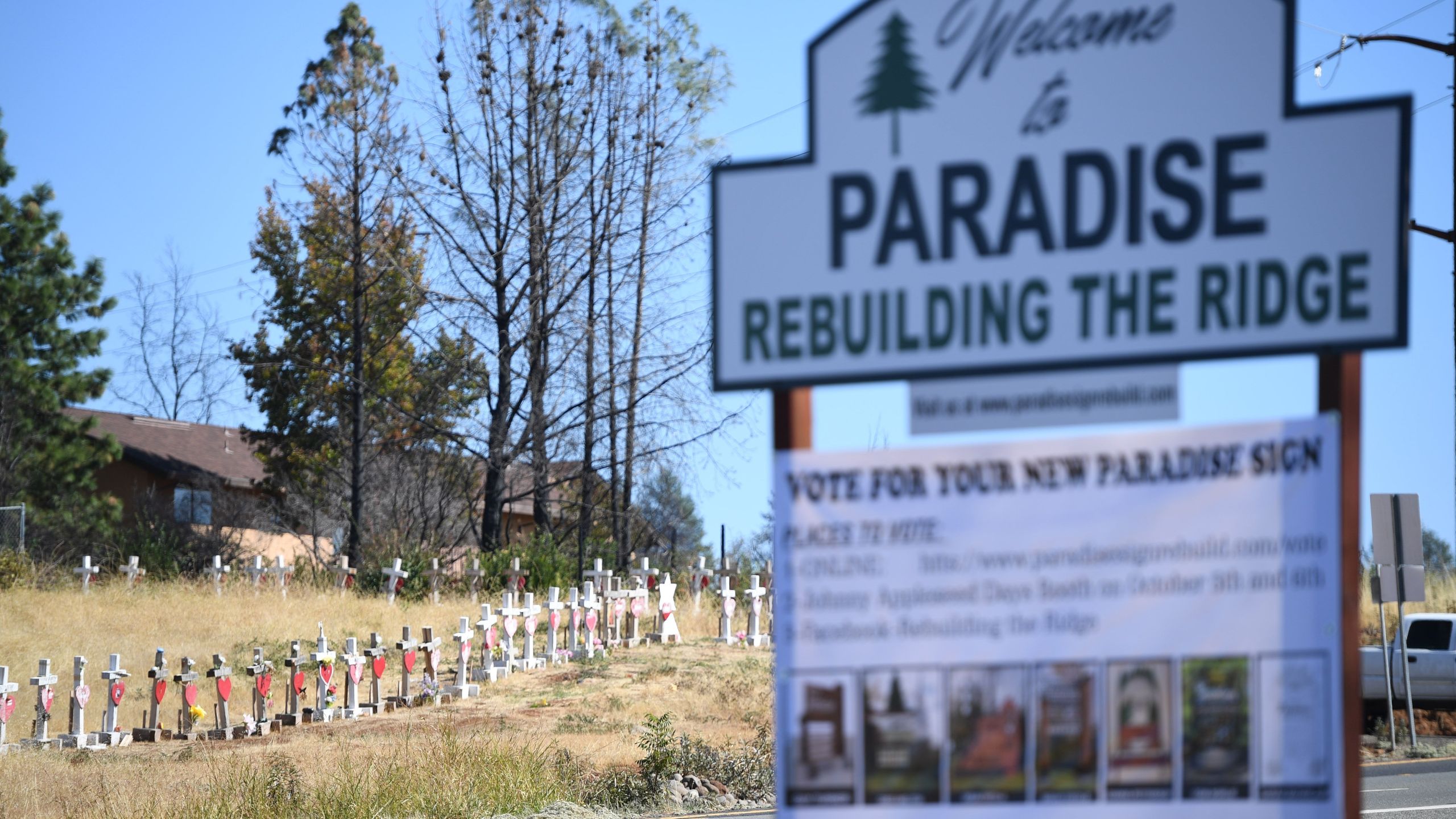 Crosses line the road on Oct. 2, 2019 to remember the people who died as a result of the Camp Fire in Paradise. (ROBYN BECK/AFP via Getty Images)