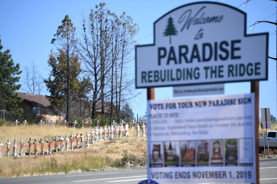 Crosses line the road on Oct. 2, 2019 to remember the people who died as a result of the Camp Fire in Paradise. (ROBYN BECK/AFP via Getty Images)