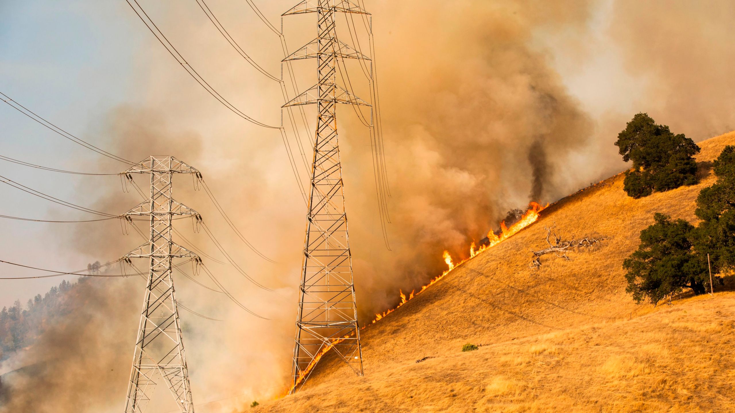 A back fire set by fire fighters burns a hillside behind PG&E power lines during firefighting operations to battle the Kincade Fire in Healdsburg, California, on Oct. 26, 2019. (PHILIP PACHECO/AFP via Getty Images)