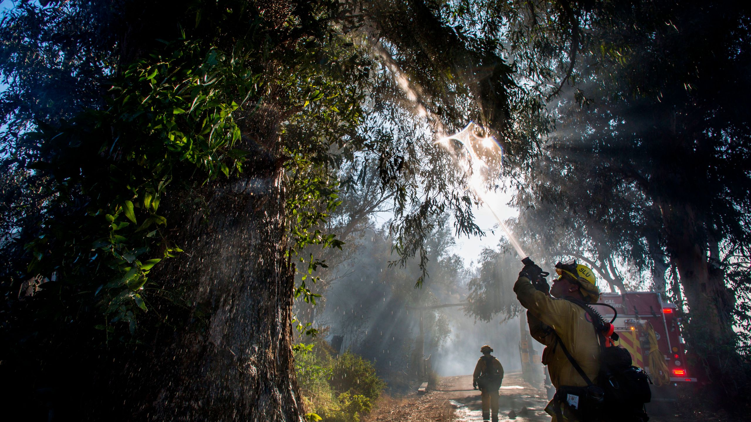 Firefighters douse flames in a tree at South Mountain Road during the Maria Fire, in Santa Paula, Calif. on Nov. 1, 2019. (Credit: Apu Gomes / AFP via Getty Images)