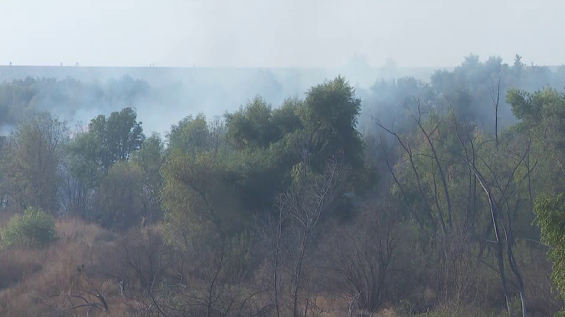 A brush fire burns in Hansen Dam on Nov. 11, 2019. (Credit: KTLA)