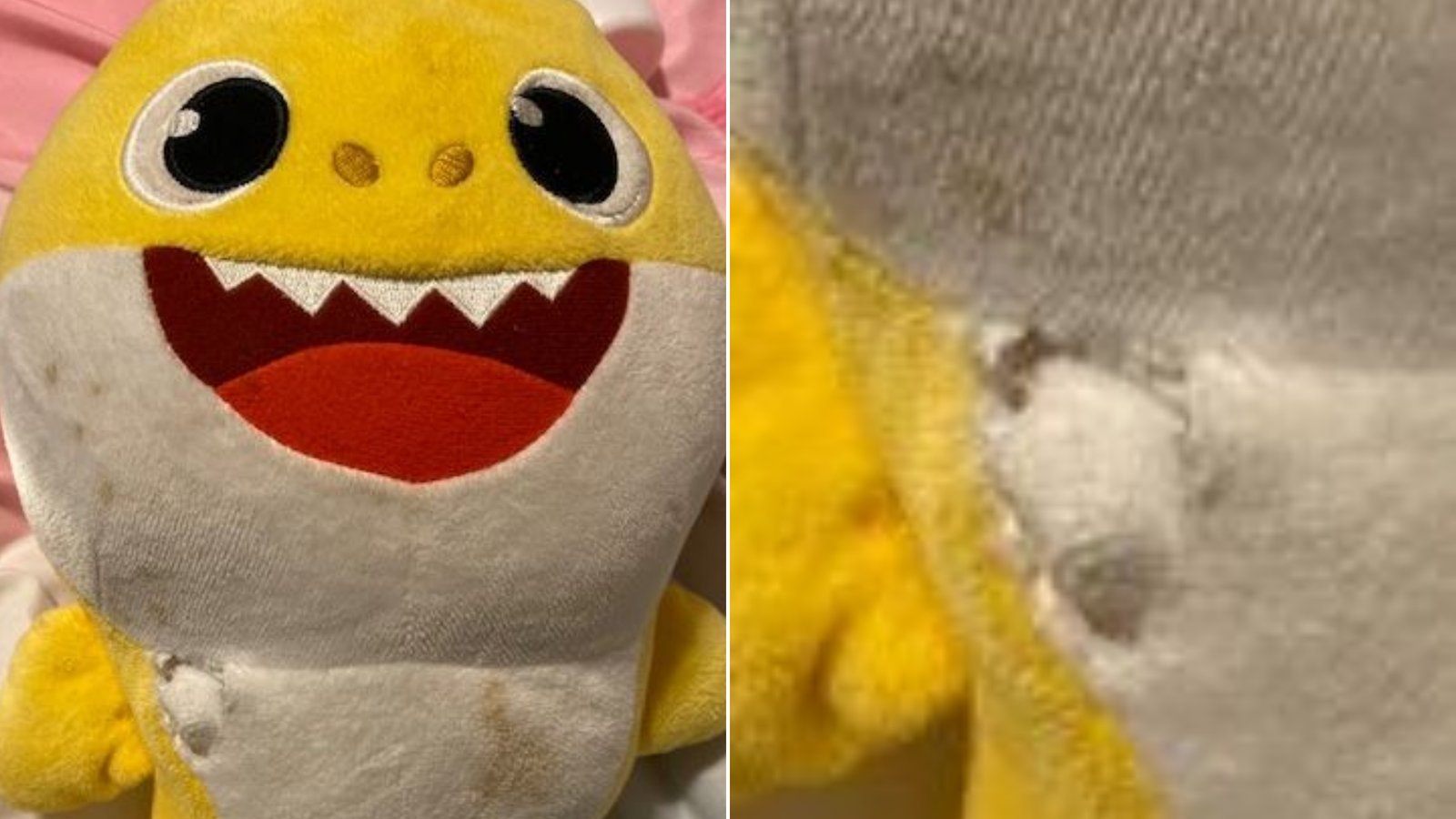 A Wisconsin toddler is alive after a bullet tore through a wall and hit a Baby Shark stuffed animal during a gunfight near the child's home, authorities said. (Credit: City of Madison Police Dept.)