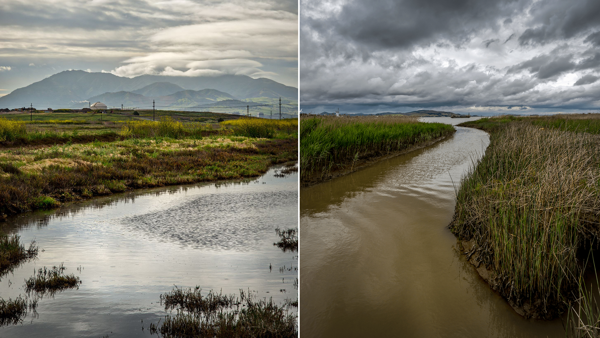 California's Walnut Creek is seen in photos provided by the Contra Costa County Flood Control and Water Conservation District.