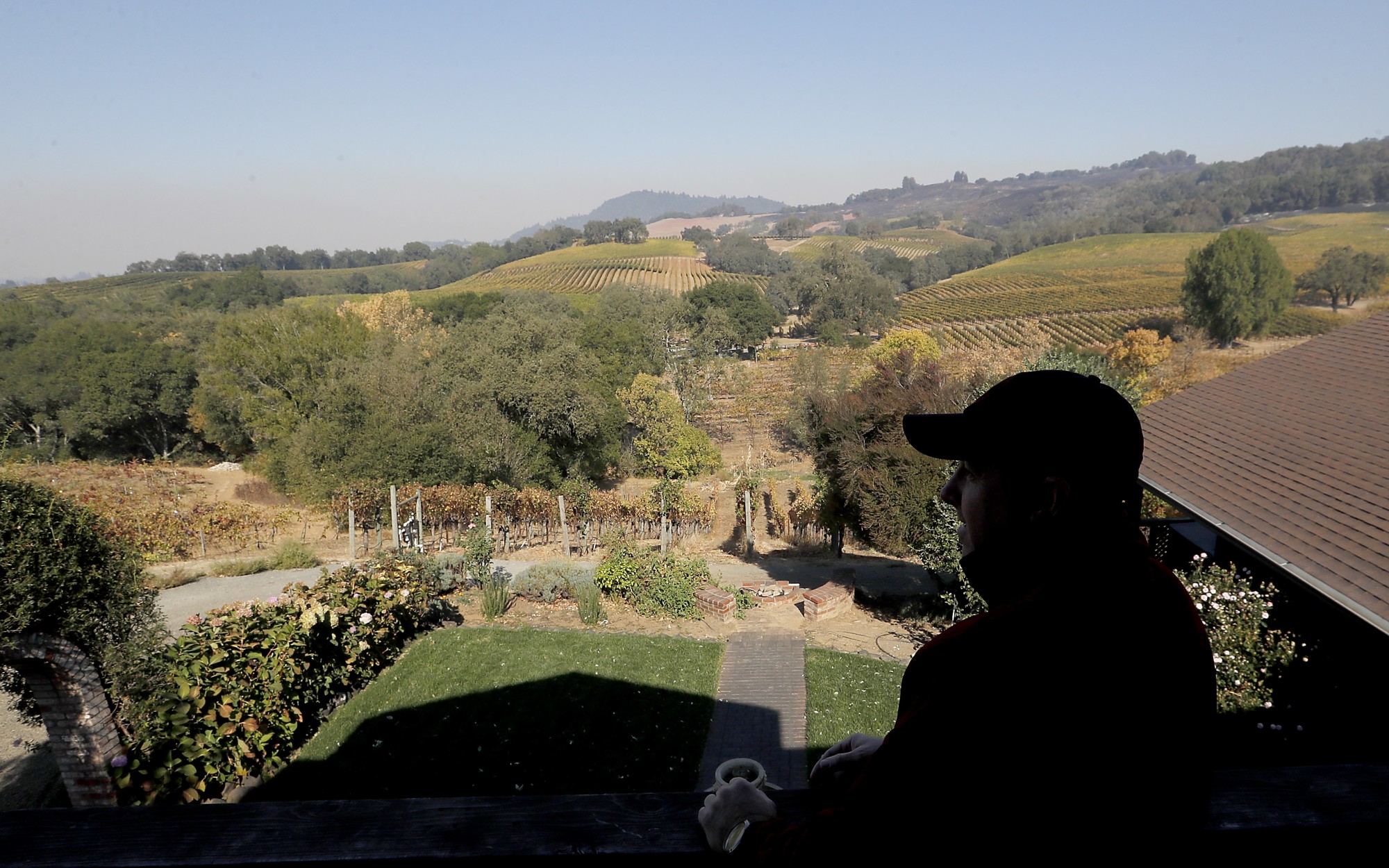 Charred hillsides show the path of the Kincade Fire, which burned in October 2019, adjacent to vineyards near Healdsburg. (Credit: Luis Sinco/Los Angeles Times)