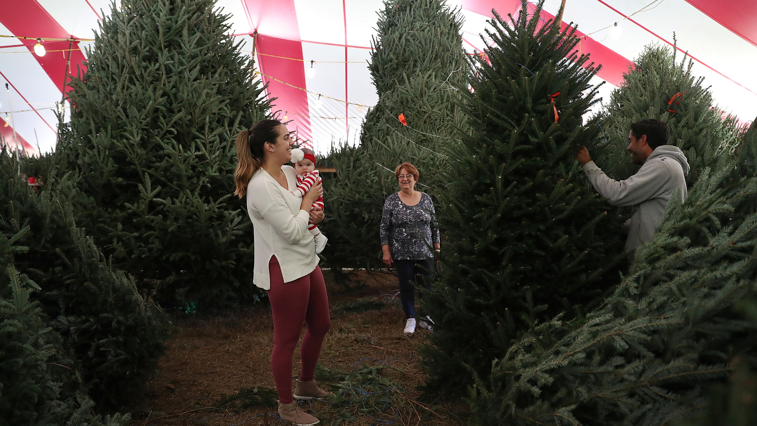 A woman holds her daughter as she shops for a Christmas tree on Nov. 29, 2018, in Miami, Florida. (Credit: Joe Raedle/Getty Images)