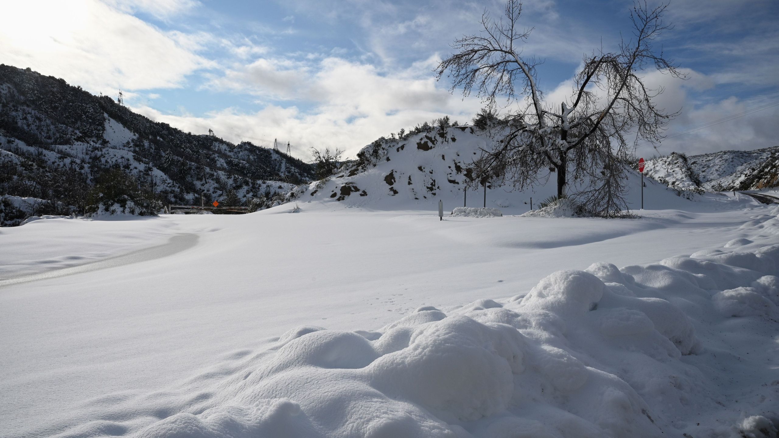 Snow blankets the Angeles National Forest north of Los Angeles, California Dec. 26, 2019. (Credit: Robyn Beck / Getty)