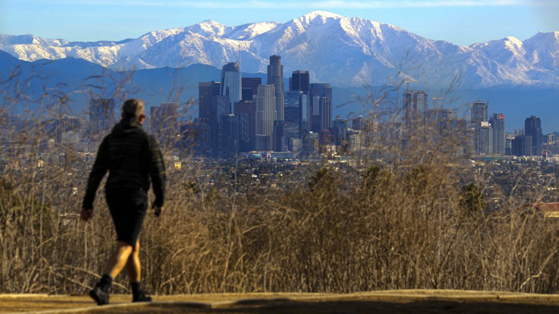 The downtown L.A. skyline and snowy mountains are seen from Kenneth Hahn State Recreation Area on Nov. 30, 2019. (Credit: Irfan Khan / Los Angeles Times)