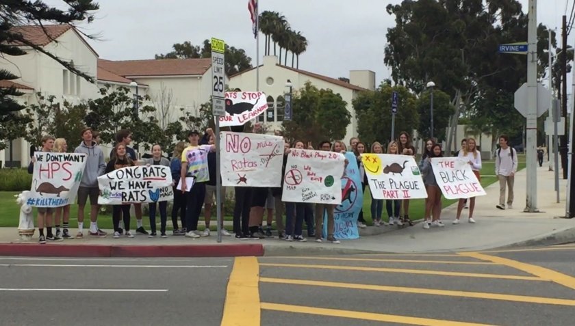 Newport Harbor High School students and teachers demonstrate in 2018 to protest what they described as a rat infestation at the school’s Dodge Hall, where math and world language classes are held.(Credit: Daily Pilot via Los Angeles Times)